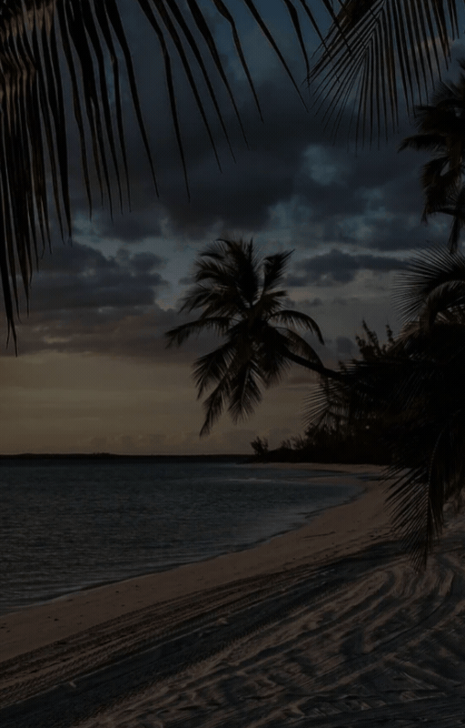 Transitions Views – ASA